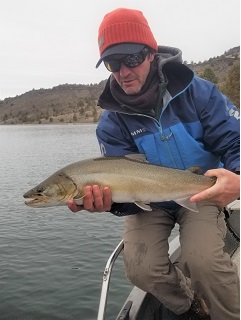 bull-trout-Currier