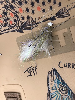 bull-trout-fly