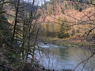 Nehalem-River
