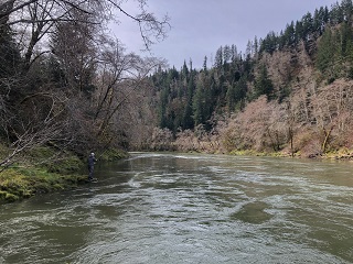 flyfishing-Nehalem-River