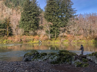 flyfishing-for-steelhead