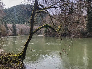 Nehalem-River