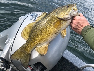 smallmouth-bass
