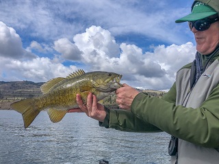 Mike-LaSota-flyfishing