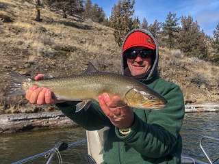 Currier-bull-trout