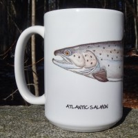 Atlantic-salmon