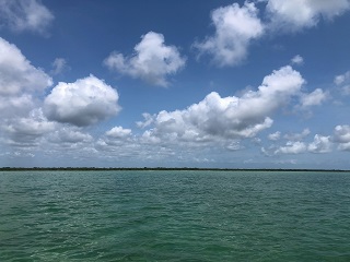 saltwater-flyfishing