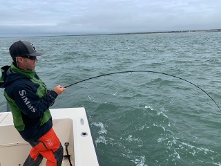 Currier-Winston-rods