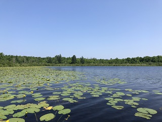 pond-fishing