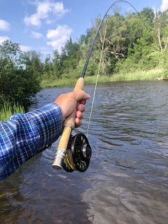 Bauer-Winston-Currier