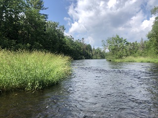 trout-stream