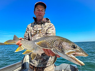 Currier-lake-trout