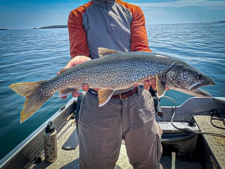 lake-trout
