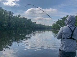 Northwoods-Flyfisher