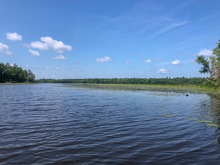lake-fishing