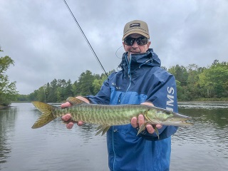 muskellunge
