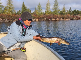 northern-pike