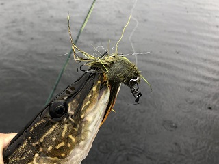pike-fly