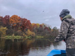 flyfishing-for-musky