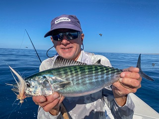 Sammy-Vigneri-bonito