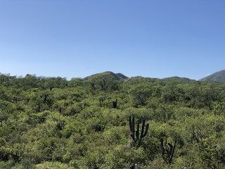 Baja-Mexico