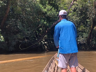 jungle-fishing