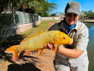 Fly Fishing for Koi and Crazy Other Carps – Jeff Currier