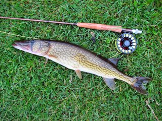 Fly Fishing for Pickerel – Jeff Currier
