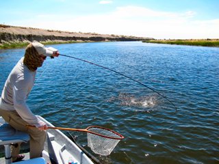 There's Big Browns in Texas – Jeff Currier